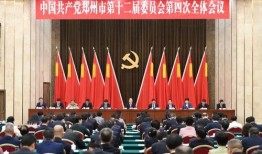 郑州新闻爆料的网红,揭秘网络红人的幕后故事